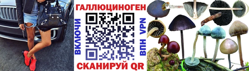 Галлюциногенные грибы мицелий  Ессентуки 